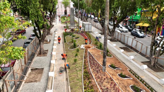 Notícias do Amazonas – Prefeito David Almeida planta oliveiras na praça dos Remédios revitalizada