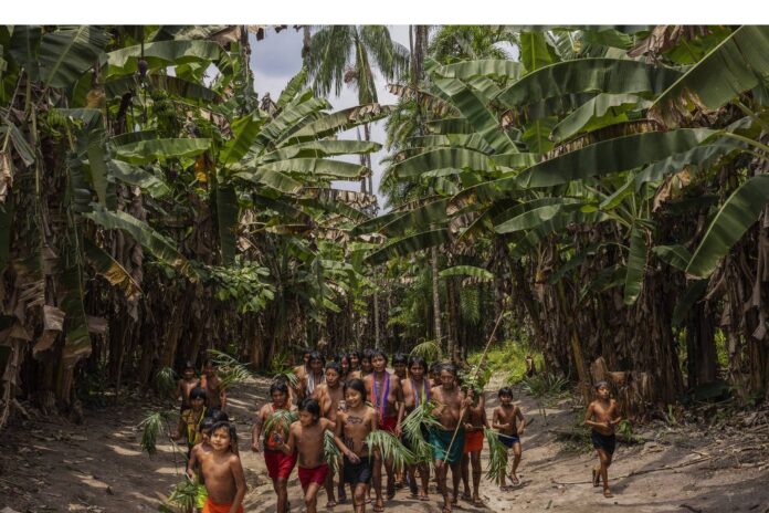Notícias do Amazonas – Justiça reconhece direitos dos Waimiri Atroari sobre terras alagadas