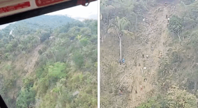 Notícias do Amazonas – Ônibus turístico despenca em mata e deixa feridos em Alagoas