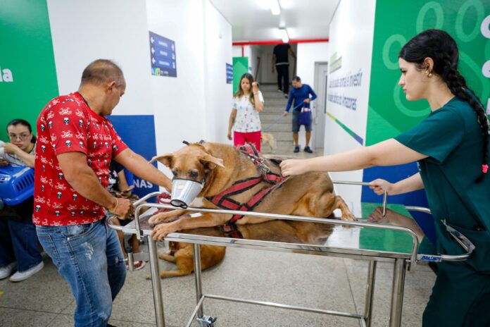 Notícias do Amazonas – Hospital Veterinário atende mais de 3 mil animais em uma semana