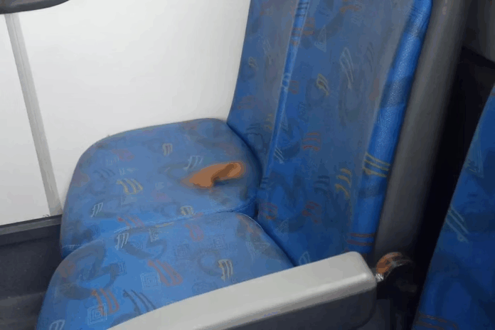 Notícias do Amazonas – Passageiro insatisfeito defeca em ônibus municipal de Santos