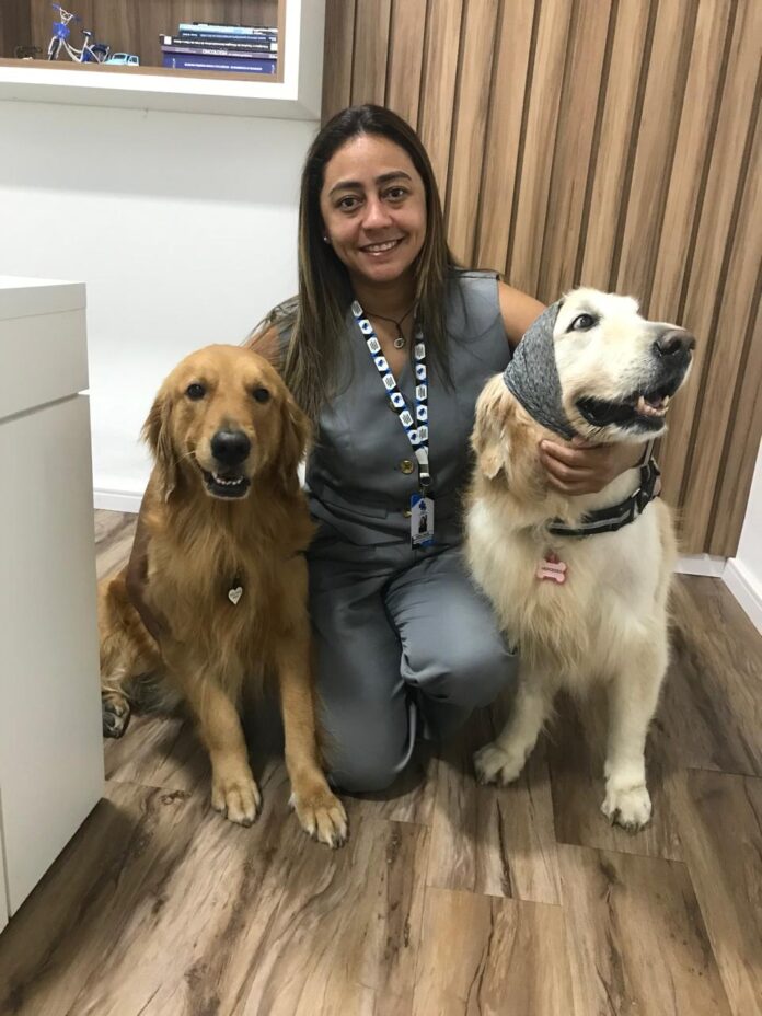 Câncer de mama em pets: prevenção e cuidados essenciais para cadelas e gatas