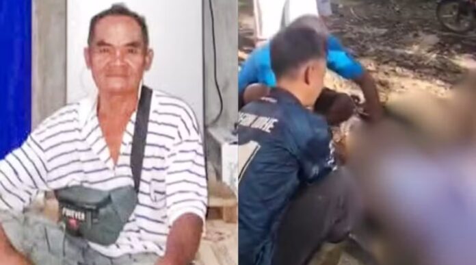 Notícias do Amazonas – Agricultor é encontrado morto após ser engolido por cobra de 8 metros