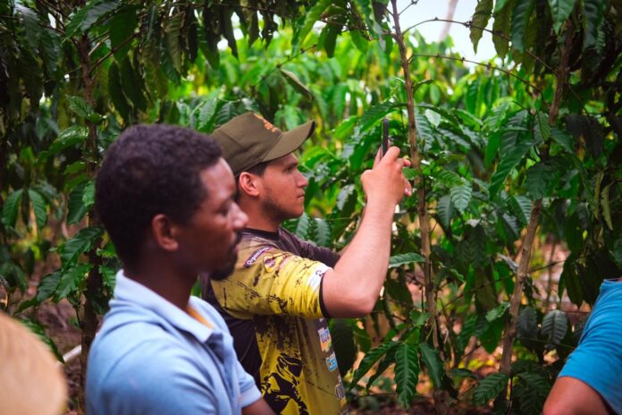 Café de Apuí: Acordos Justos Impulsionam Bioeconomia e COP30 na Amazônia