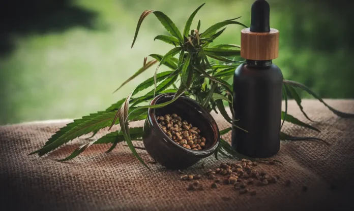 Notícias do Amazonas – ExpoCannabis revela oportunidades de emprego na cannabis