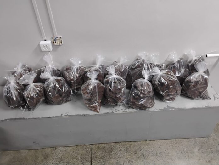 Notícias do Amazonas – Casal detido com 50 kg de cocaína em mansão luxuosa