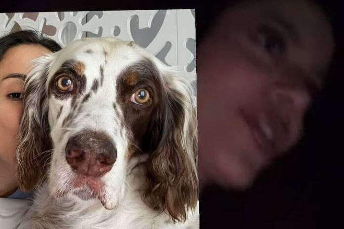 Cachorro de Anitta desaparece no Natal e preocupa a cantora com sumiço