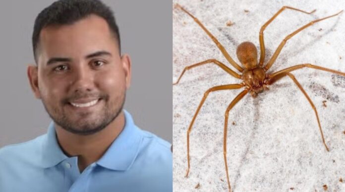 Notícias do Amazonas – Prefeito de Boa Vista do Ramos hospitalizado por picada de aranha-marrom