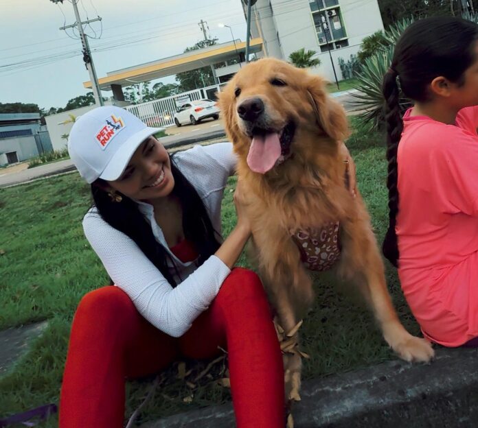 Notícias do Amazonas – Manaus sedia a Pet+Run, corrida solidária em prol de ONGs