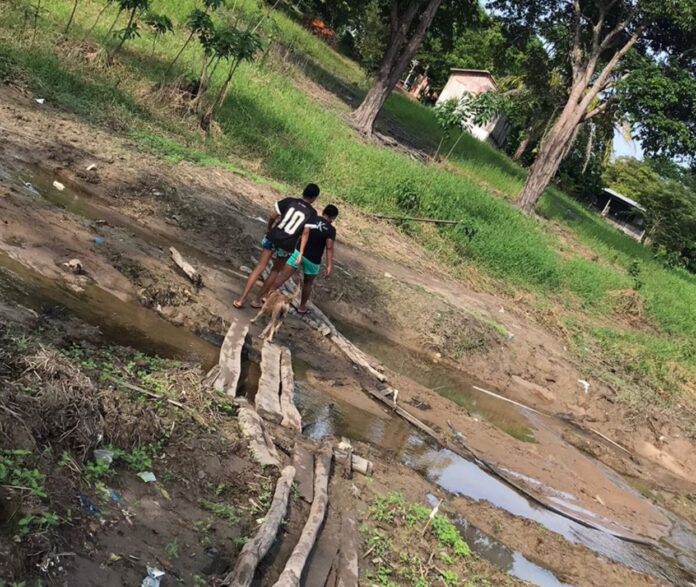 Notícias do Amazonas – Comunidade de Iranduba clama por ponte prometida há anos