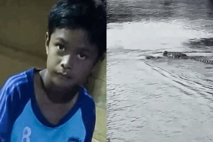 Notícias do Amazonas – Adolescente de 13 anos é tragicamente atacado por crocodilo