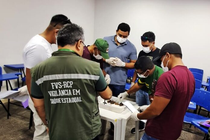 Notícias do Amazonas – Capacitação em Tabatinga visa controle de morcegos transmissores de raiva