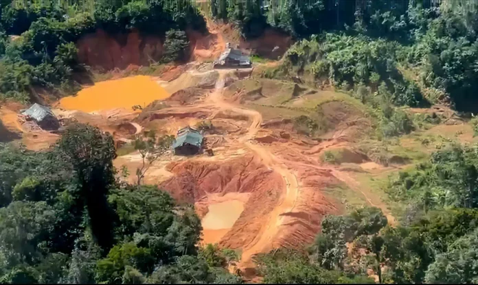 amazonia-legak.webp Notícias do Amazonas – Crimes ambientais na Amazônia Legal crescem 88% em dois meses