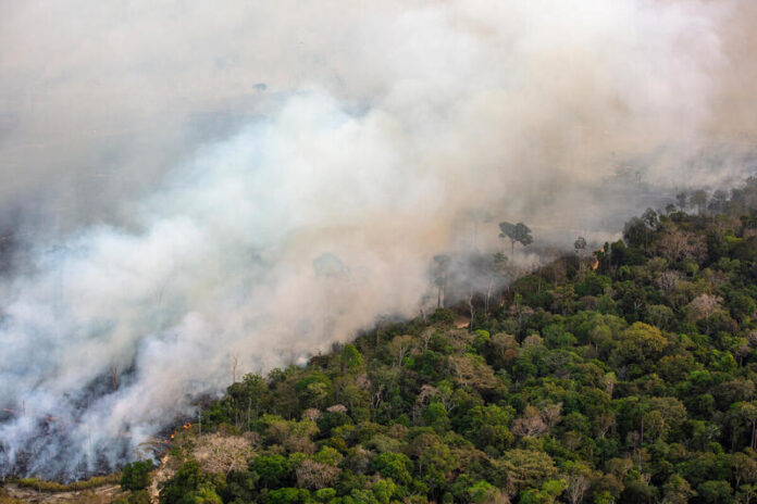 GP0SU1TNG_Low-res-800px.jpg Notícias do Amazonas – Degradação florestal atinge recorde em 15 anos com 20 km² destruídos