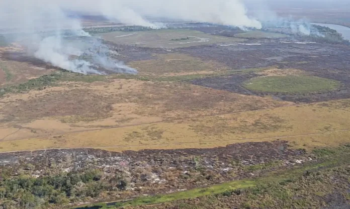 queimadas.webp Notícias do Amazonas – Aumento das emissões pode elevar temperatura em até 3,6ºC