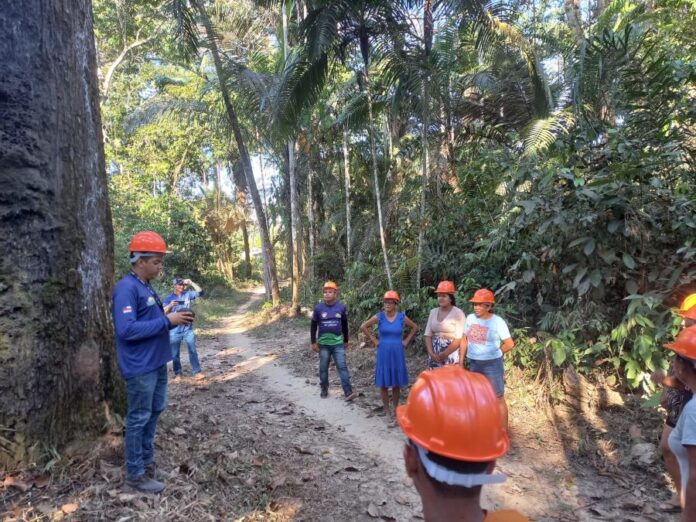 economia_7_sub-1-2.jpg Notícias do Amazonas – Idam capacita 272 extrativistas em práticas sustentáveis