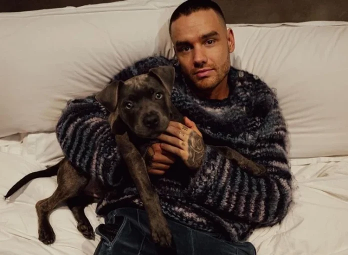 liam.webp Noticias do Amazonas – Liam Payne faleceu ao tentar fugir de hotel em Buenos Aires