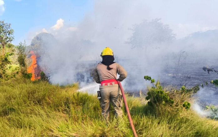 CBMAM_20-MIL-FOCOS-DE-INCENDIO-COMBATIDOS_2.jpeg Notícias do Amazonas – Corpo de Bombeiros atua em mais de 20 mil focos de incêndio