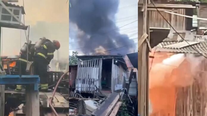 Notícias do Amazonas – Incêndio em Manaus causa destruição e morte de cadela