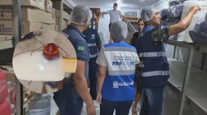 Fábrica de picolés interditada após barata ser descoberta em sorvete recheado