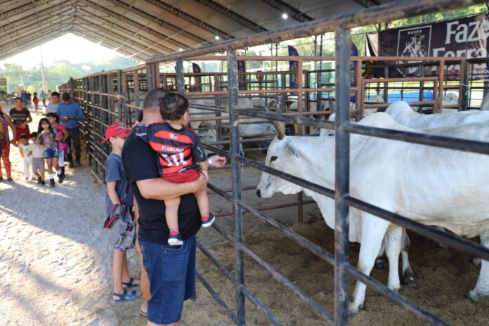 Notícias do Amazonas – Expoagro 2025 em Manaus apresenta 745 animais e crescimento da pecuária