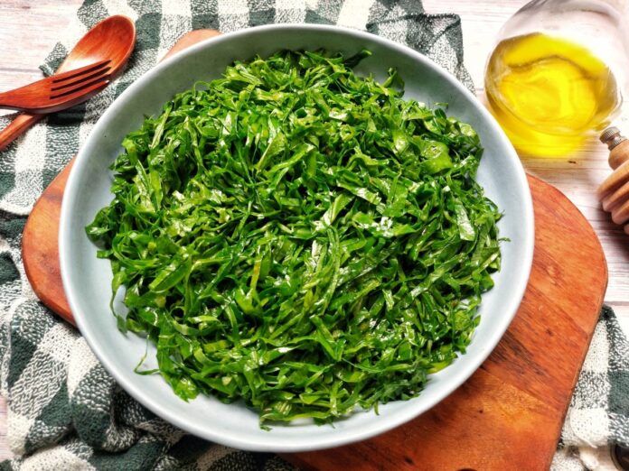 Couve: O Vegetal Poderoso que Revitaliza sua Saúde e Energia