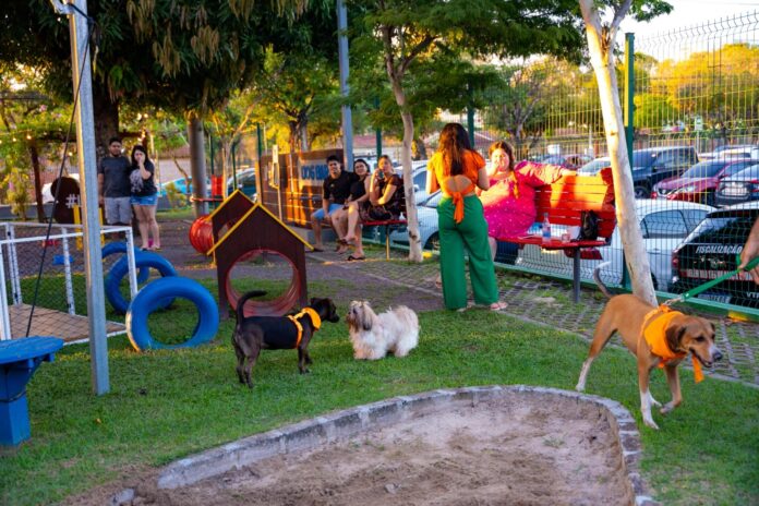 Notícias do Amazonas – Evento de adoção de cães acontece no Pet Park neste sábado