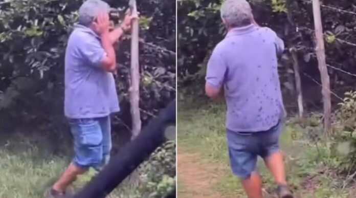 Notícias do Amazonas – Ex-vereador de Tianguá morre após ataque de abelhas