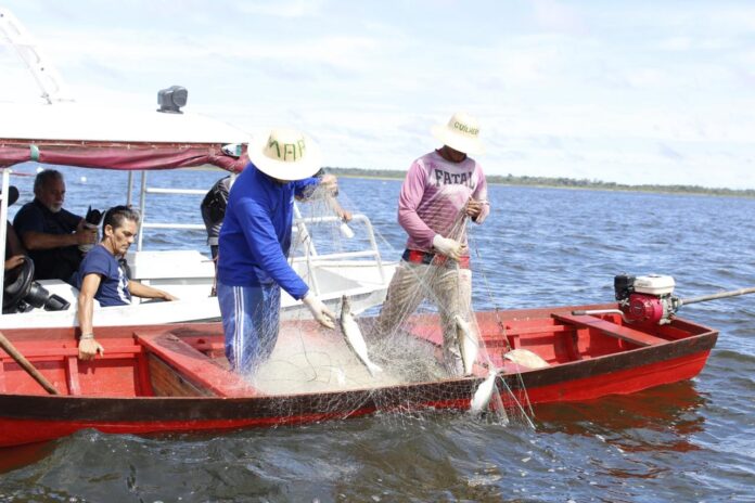Notícias do Amazonas – Início do pagamento do Seguro Defeso Extraordinário dia 6