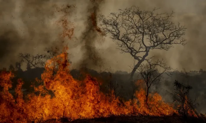 Notícias do Amazonas – Crescimento de 250% em desastres climáticos no Brasil