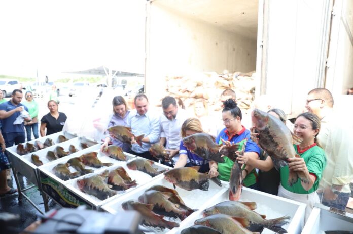 Notícias do Amazonas – Mutirão oferece R$ 3,6 milhões a pescadores artesanais