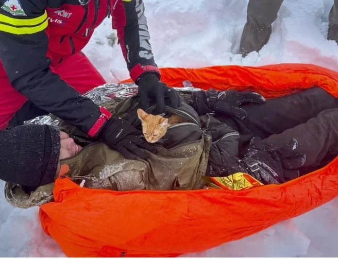 Ucraniano em fuga do alistamento é salvo nas montanhas com seu gatinho