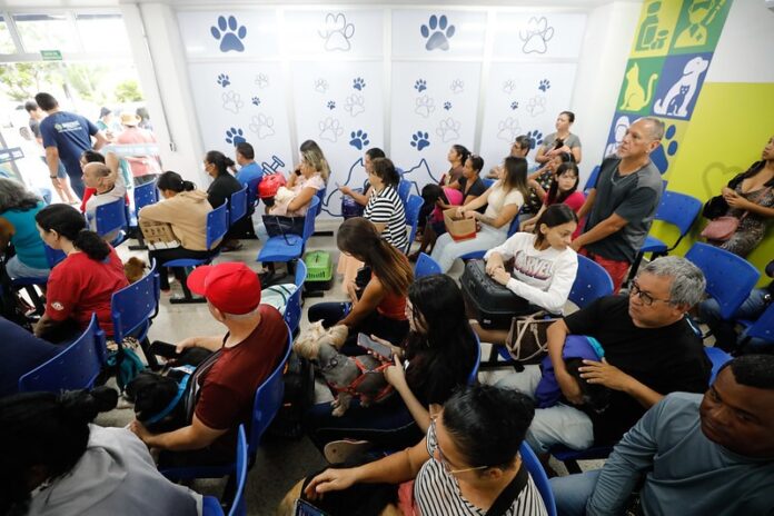 Notícias do Amazonas – Documentos necessários para atendimento no Hospital Veterinário