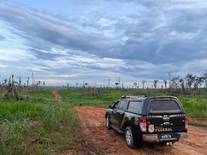 Notícias do Amazonas – PF realiza operação contra desmatamento e grilagem de terras