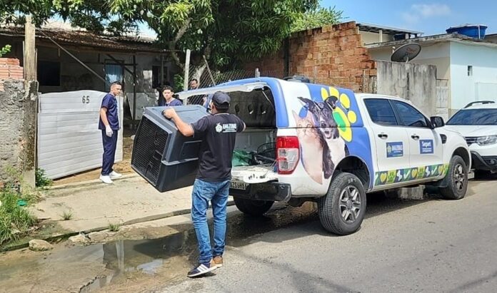 Notícias do Amazonas – Mulher detida por maltratar cães em Manaus