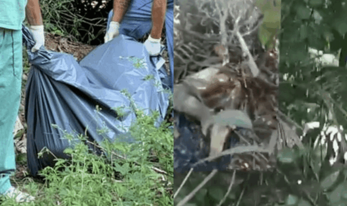 Notícias do Amazonas – Corpo amordaçado e em decomposição é descoberto no Tarumã