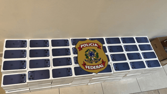 Notícias do Amazonas – Motorista preso na BR-174 com carga ilegal sob batatas