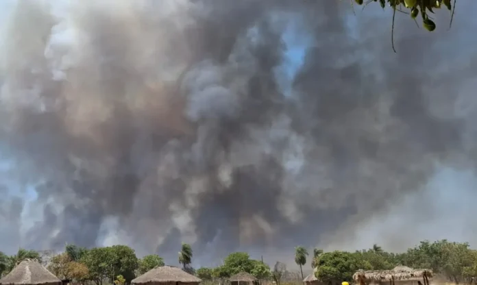 Notícias do Amazonas – Indígenas enfrentam desafios após devastadoras queimadas