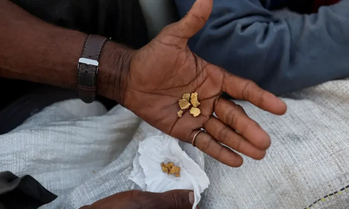 Notícias do Amazonas – Aumento da fiscalização reduz em 84% a extração de ouro