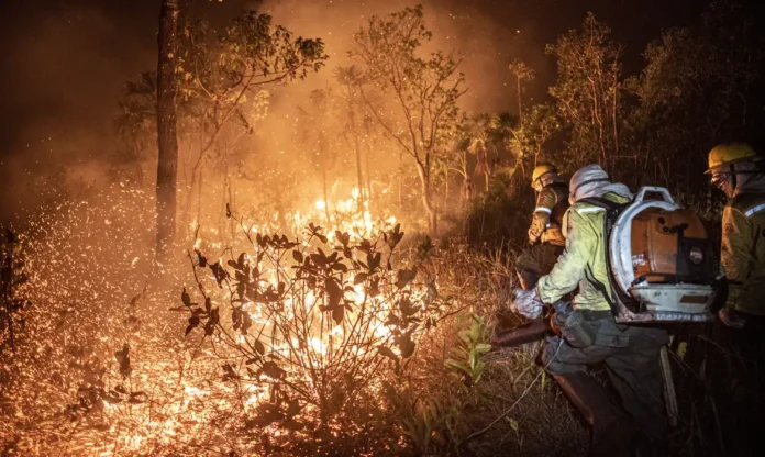 Monitoramento indica que 99% dos incêndios no Brasil são por ação humana
