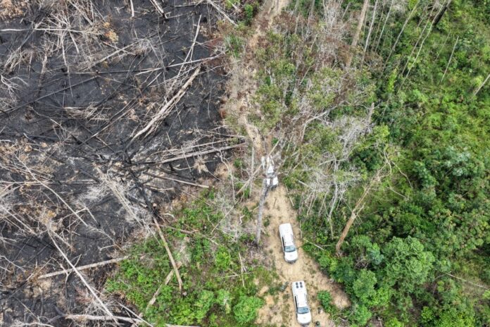 Notícias do Amazonas – R$ 13 milhões em multas na 8ª fase da Operação Tamoiotatá 5