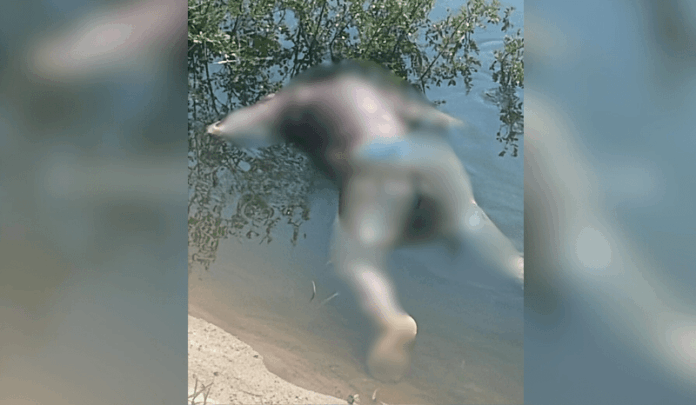 Notícias do Amazonas – Corpo em decomposição é descoberto na praia Dourada