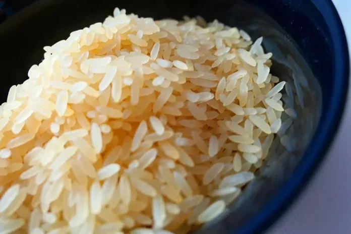 Notícias do Amazonas – Homem no Líbano tem infecção peniana após comer arroz