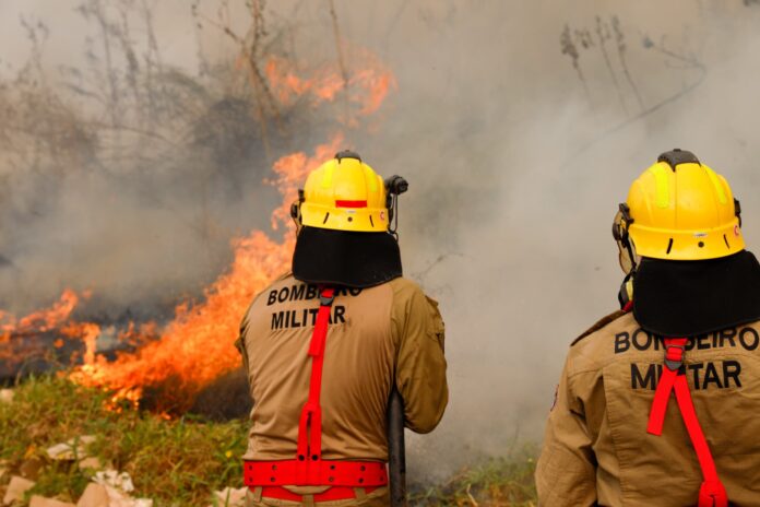 Notícias do Amazonas – MPAM e Ministério do Meio Ambiente discutem combate a queimadas