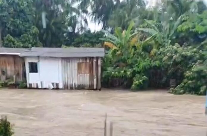 Notícias do Amazonas – Temporal em Manaus gera 12 ocorrências de emergência