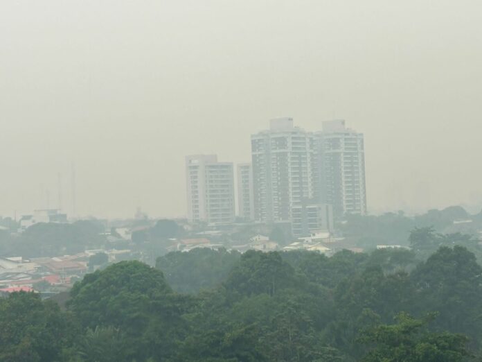 Notícias do Amazonas – Unicef destaca riscos das queimadas para jovens e crianças