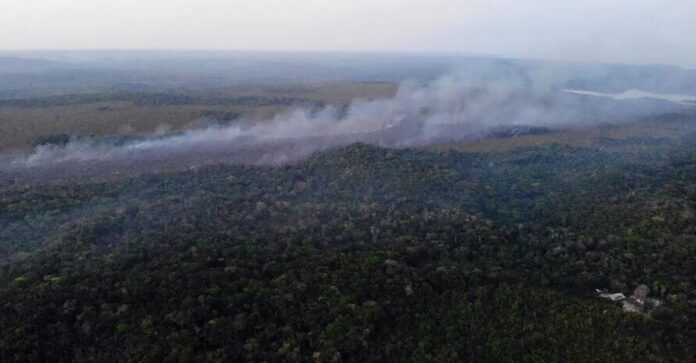 Notícias do Amazonas – Incêndios devastam 2,5 milhões de hectares em agosto