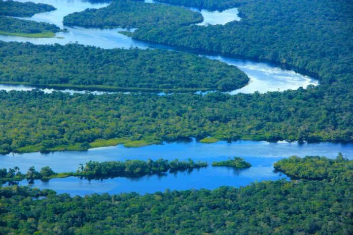 Notícias do Amazonas – Novembro registra a menor quantidade de focos de calor desde 2021