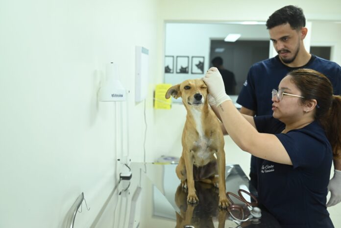 Notícias do Amazonas – CASA Fametro disponibiliza atendimento veterinário acessível