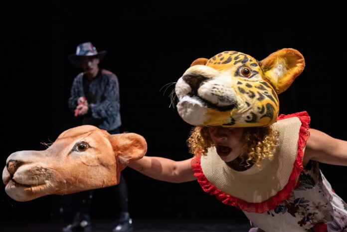 Notícias do Amazonas – Grupo Jurubebas brilha em festivais de teatro pelo Brasil